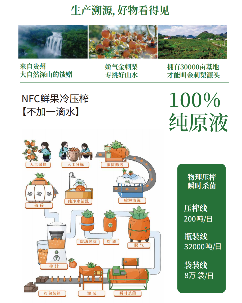 刺梨嘭嘭生产全流程（原料筛选-鲜榨-灌装-冷链）